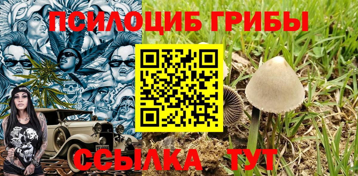 Галлюциногенные грибы мухоморы  Вход с VPN  Луга  Галлюциногенные грибы ЛСД 